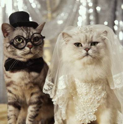 chats???